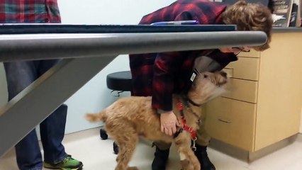 Formerly blind dog Duffy seeing the family after surgery by Native American News