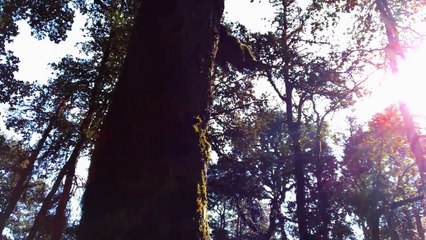 Yeh Haseen Vadiyan - Roja Female Cover Song By Ritu Agarwal _ @VoiceOfRitu