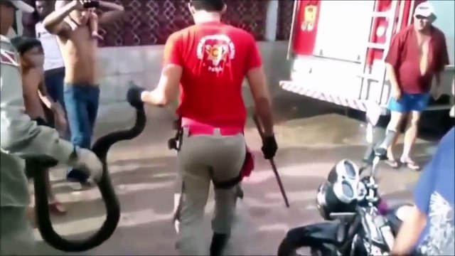 If it were not FILMED no one would BELIEVE IT ✱ Videos you will not believe