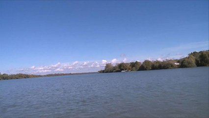 دلتا الدانوب.. الملاذ الأخير للحياة البرية في أوروبا