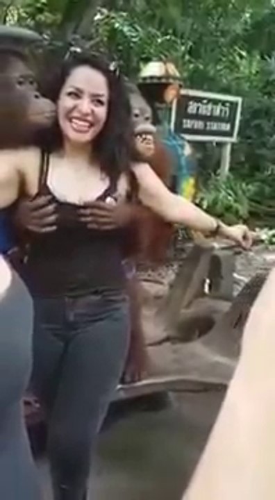 Monkey grabs women's boobs