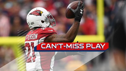 Can't-Miss Play: Patrick Peterson plucks INT out of mid-air with ONE HAND