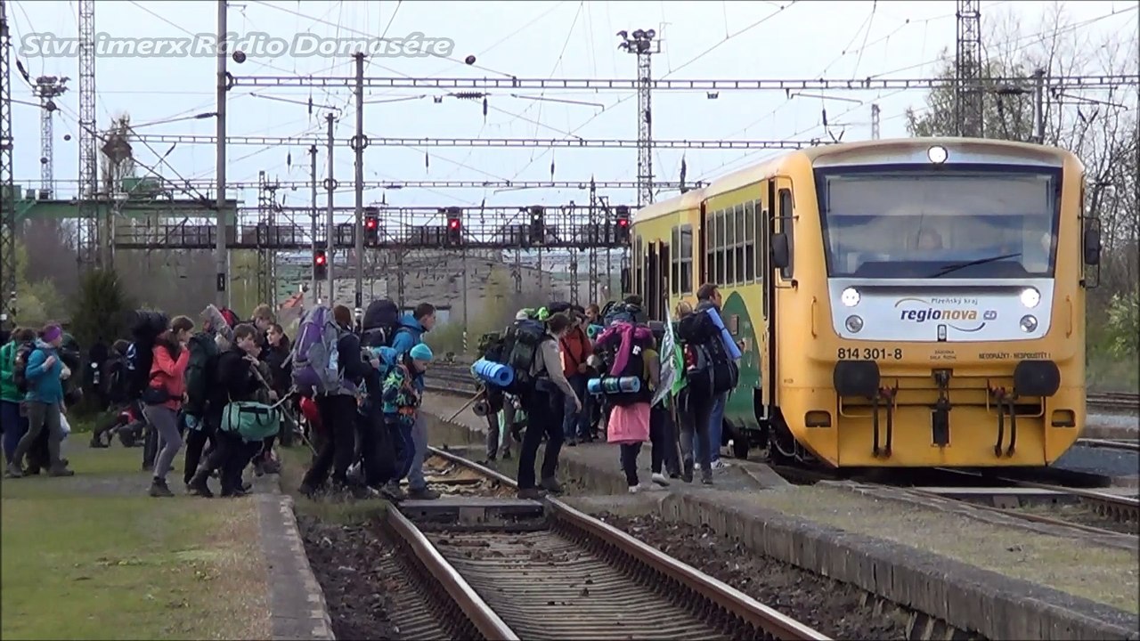 814 306 - 8