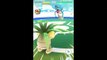 Pokémon GO Gym Battles LEVEL 10 GYM Exeggutor Arcanine Wigglytuff Dragonite Venusaur & more