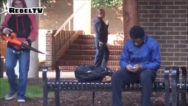 Leaf Blower Flour Prank!