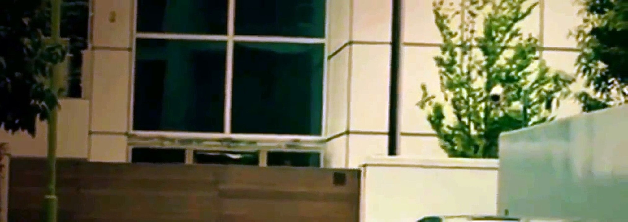 ヤクザ映画フル