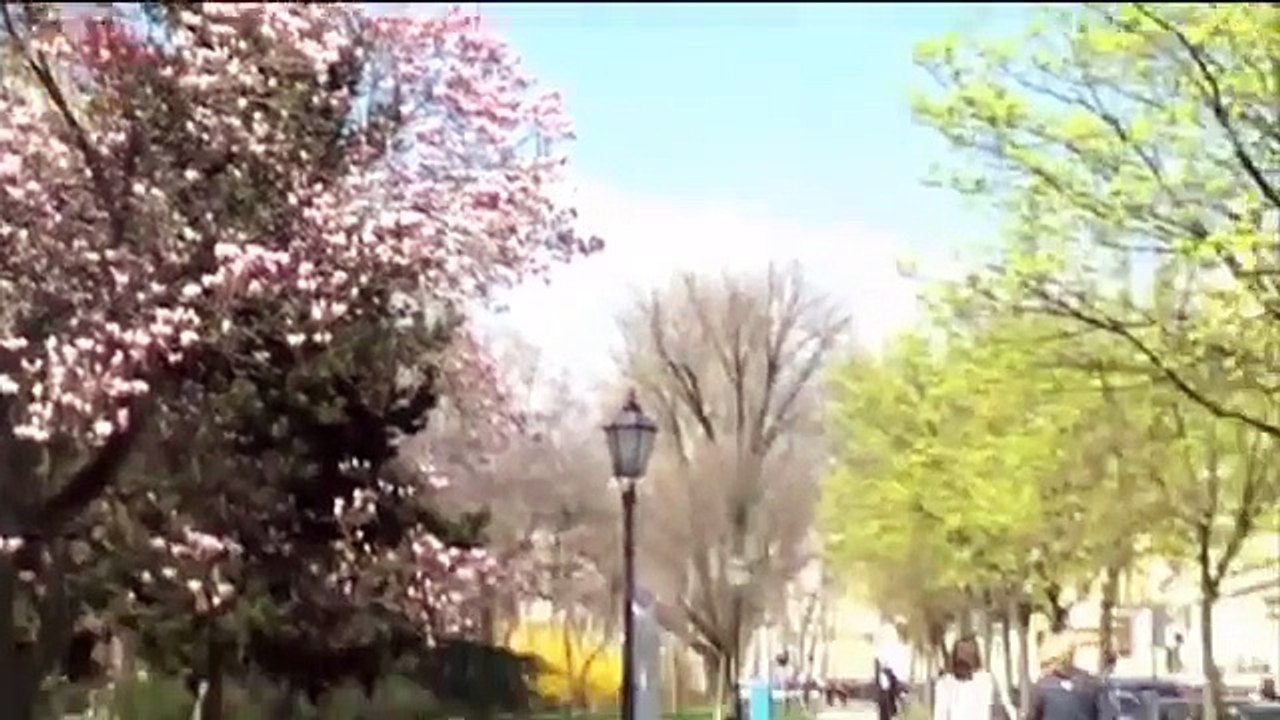 Krv nije voda - Epizoda 3 HD!!!