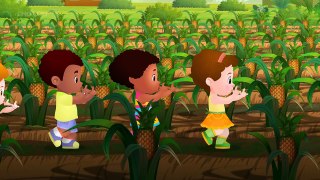 Pineapple Song (SINGLE) _ Learn Fruits _ Original Learning Songs & Nursery Rhymes _ ChuChu TV Kids-19AcV4htTe8