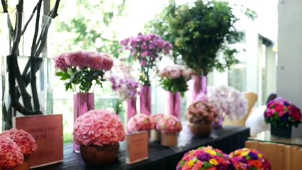 【話題】オシャレ過ぎる花屋さんのカフェでランチして来た！-JrqLYs6GqbM
