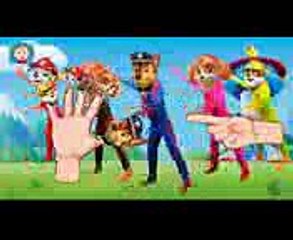 Wrong Heads Bad Baby PAW PATROL, Peppa Pig Cry Baby crying   Finger Family Song Nursery Rhymes