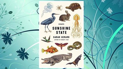 Download PDF Sunshine State: Essays FREE