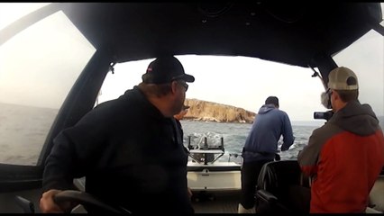 AWALNYA DAPAT IKAN BESAR, EH MALAH DI COLONG ASU