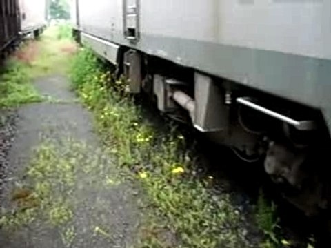 Train Sncf Fret BB36000 sur le réseau sncb.