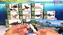 Learn Sea Animal Names with Takara Tomy Sea Animal Toys for kids - 20 SEA ANIMALS TOYS COLLECTION