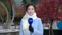 [날씨] 추위 속 중부 곳곳에 눈...내일 낮 추위 주춤 / YTN