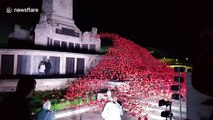 Stunning remembrance exhibit opens in Plymouth Hoe, UK