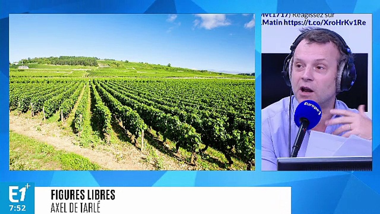 Mortifère spéculation des vins de Bourgogne : e...