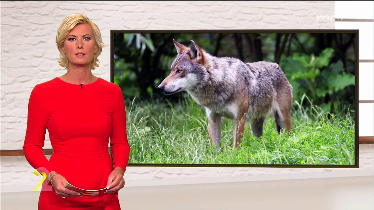 Kamilla Senjo  16.11.2017  -um 2-