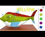 Baby Shark with tantrum FACE PAINTING Crying for 3D Lollipops - Learn colors Finger Family song