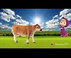 Bad Baby Crying and Learn FARM Animals & Masha Finger Family Song Collection
