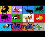 Insects for Children  Learn Bugs Names Animation Babies Toddlers Kindergarten Kid Learning Video
