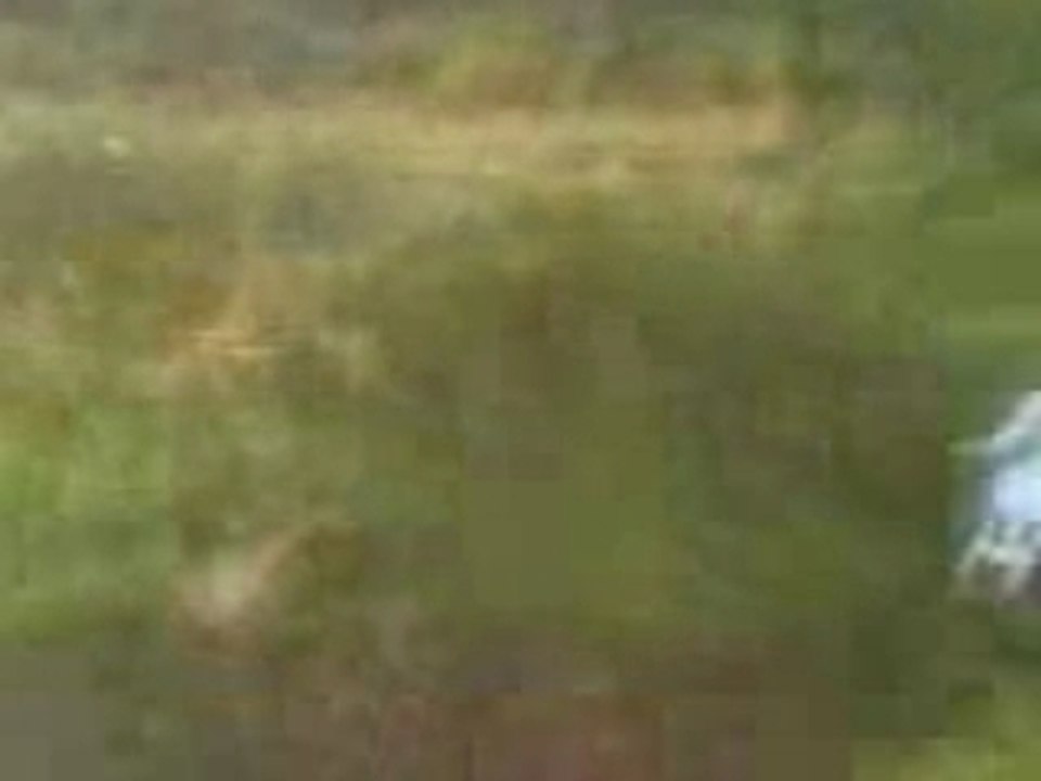 MOV00097