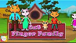 The Finger Family Cat Family Nursery Rhyme  Kids Animation Rhymes Songs