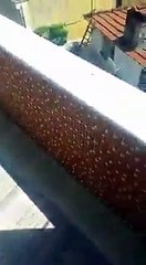 Camiye imam olarak dj tiestoyu almışlar Via nazireyis