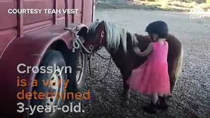 little girl attempts lot of numbers to climb on horse at last got success