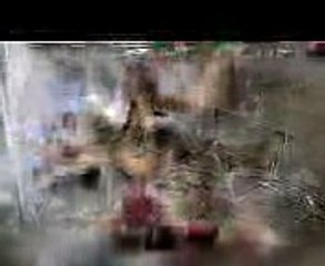 Yaramaz Bebek İş Başında - Bad Baby in Bath