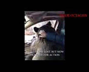 У Хабиба появился жёсткий спарринг партнер  Подготовка на UFC 219 !!!