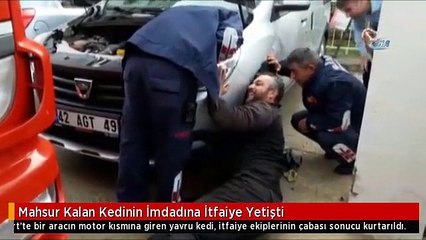 Mahsur Kalan Kedinin İmdadına İtfaiye Yetişti