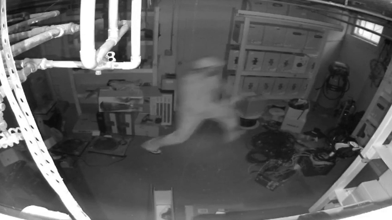 Ce voleur joue à cache-cache avec des policiers...