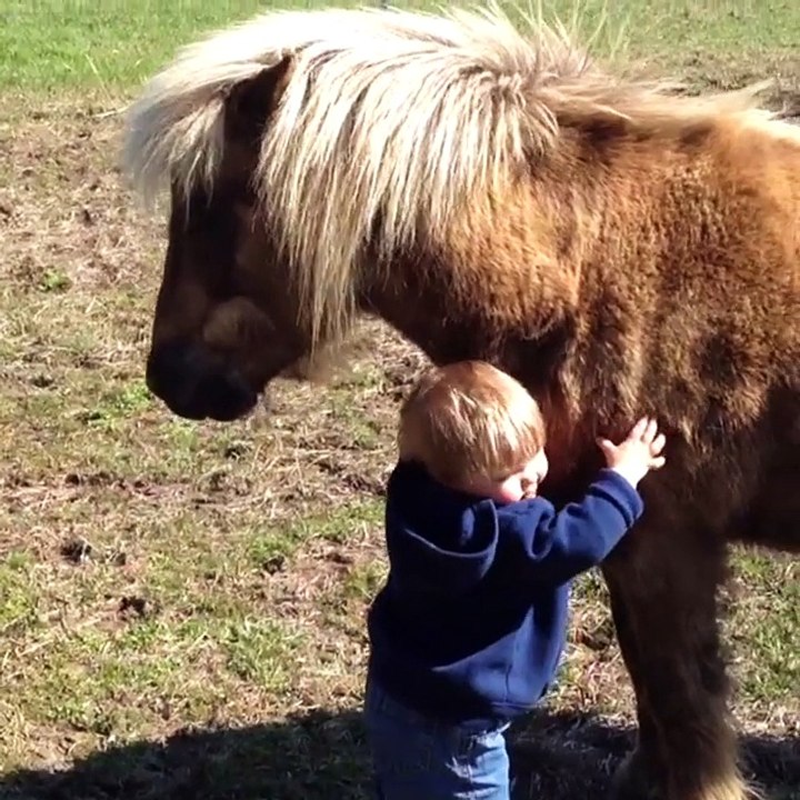 These babies are so adorable!