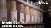 Comment le quinoa dans notre assiette fait le malheur des producteurs boliviens