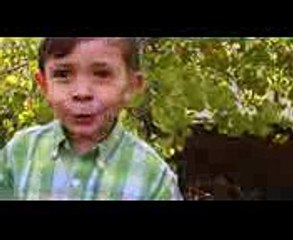 Photosynthesis  Two Little Hands TV  Educational  Kids Songs