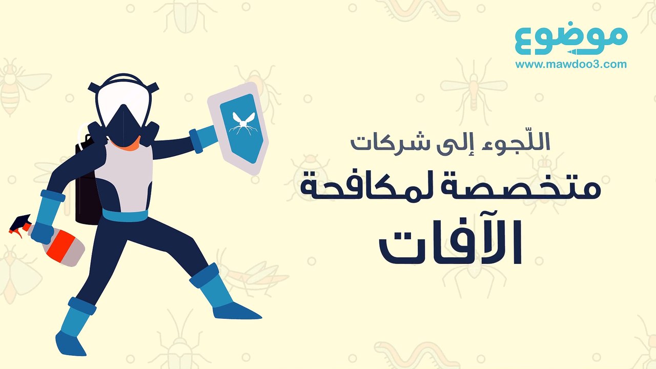 طريقة القضاء على البق