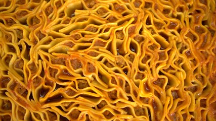 Tepsi Mantısı Tarifi