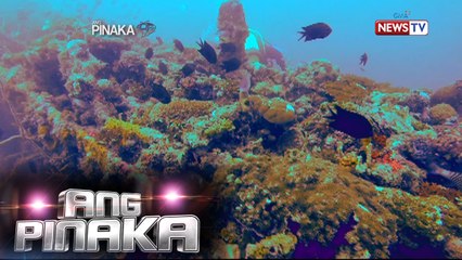 Ang Pinaka:  Wreck diving in Concepcion, Busuanga