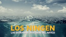 Los Ningen, las extrañas criaturas del Ártico