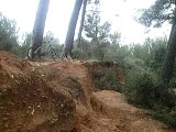 saut dans la foret de janas