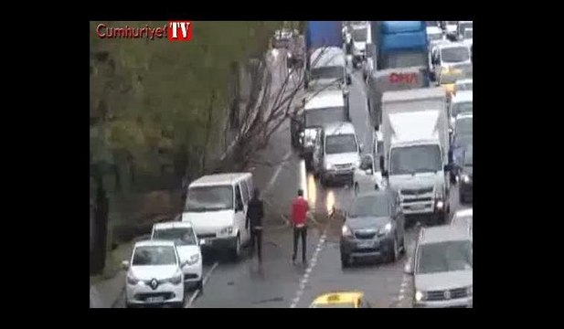 Zeytinburnu'nda şiddetli rüzgar... Devrilen ağaç 2 araca zarar verdi
