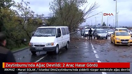 Zeytinburnu'nda Ağaç Devrildi; 2 Araç Hasar Gördü