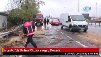 İstanbul'da Fırtına Otoyola Ağaç Devirdi