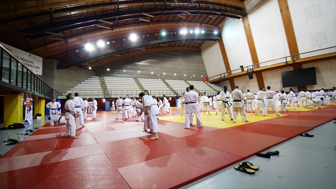 Immersion lors du stage des Experts Japonais 2017