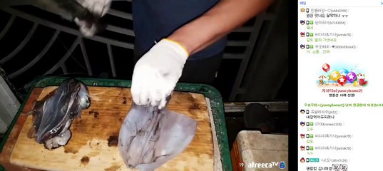 무늬오징어회 먹방 (Sliced squid, Mukbang, 술먹방)