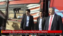 Gaziantep Oğuzeli'nde Çiftçilere Mercimek Tohumu