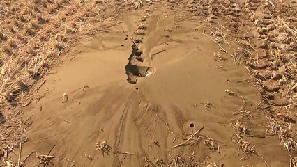 추가 피해 우려 '액상화 현상' 정부 차원 조사 시작 / YTN