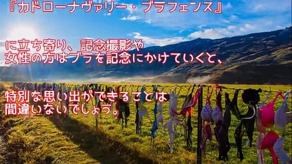 【衝撃】【感動】ブラジャーだらけのフェンス【世界は広い】