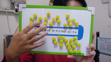 ローズＳ　2017　（本）レース予想　雨馬場になれば隠れた実力馬のこの馬しかいない！　プロ馬券師集団『桜花』